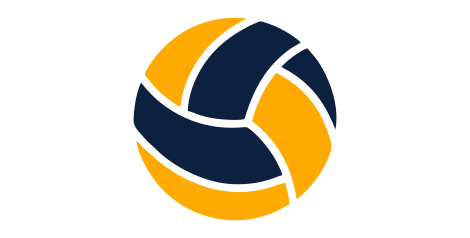 bola de volei 4