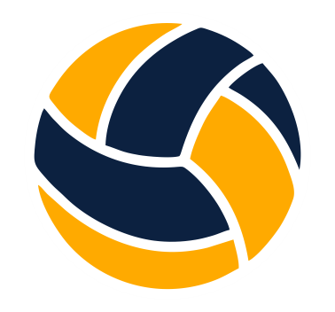bola de volei destaque